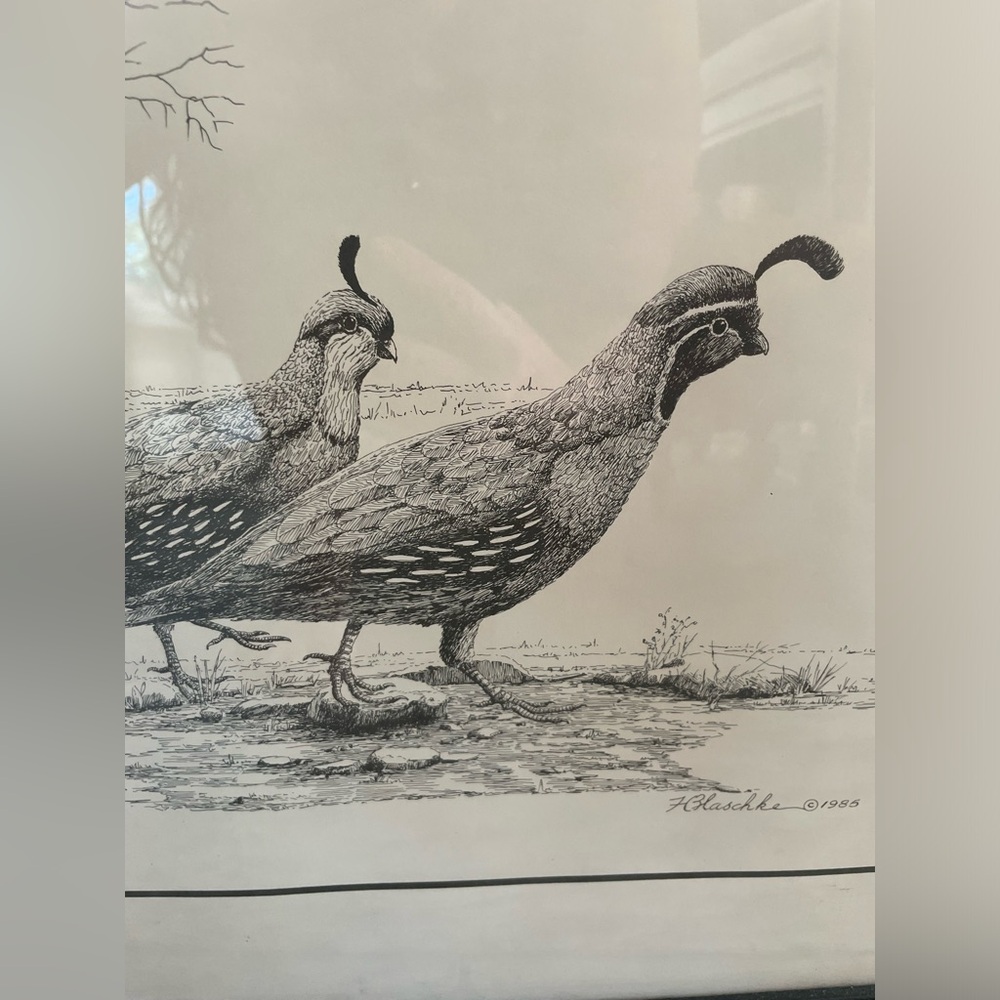 Original signed and ink. Quail.  Pretty for fall or winter. Signed. Vintage.
